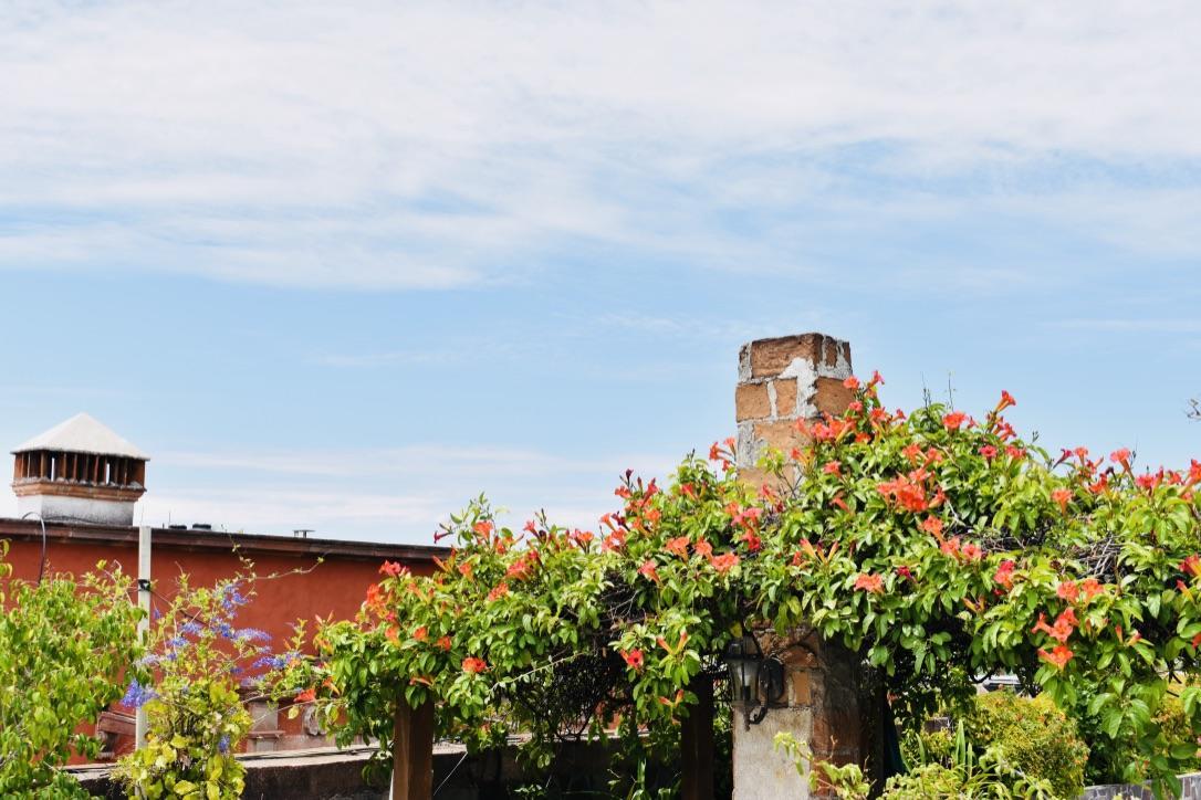 Casa Relox 23 Lägenhet San Miguel de Allende Exteriör bild